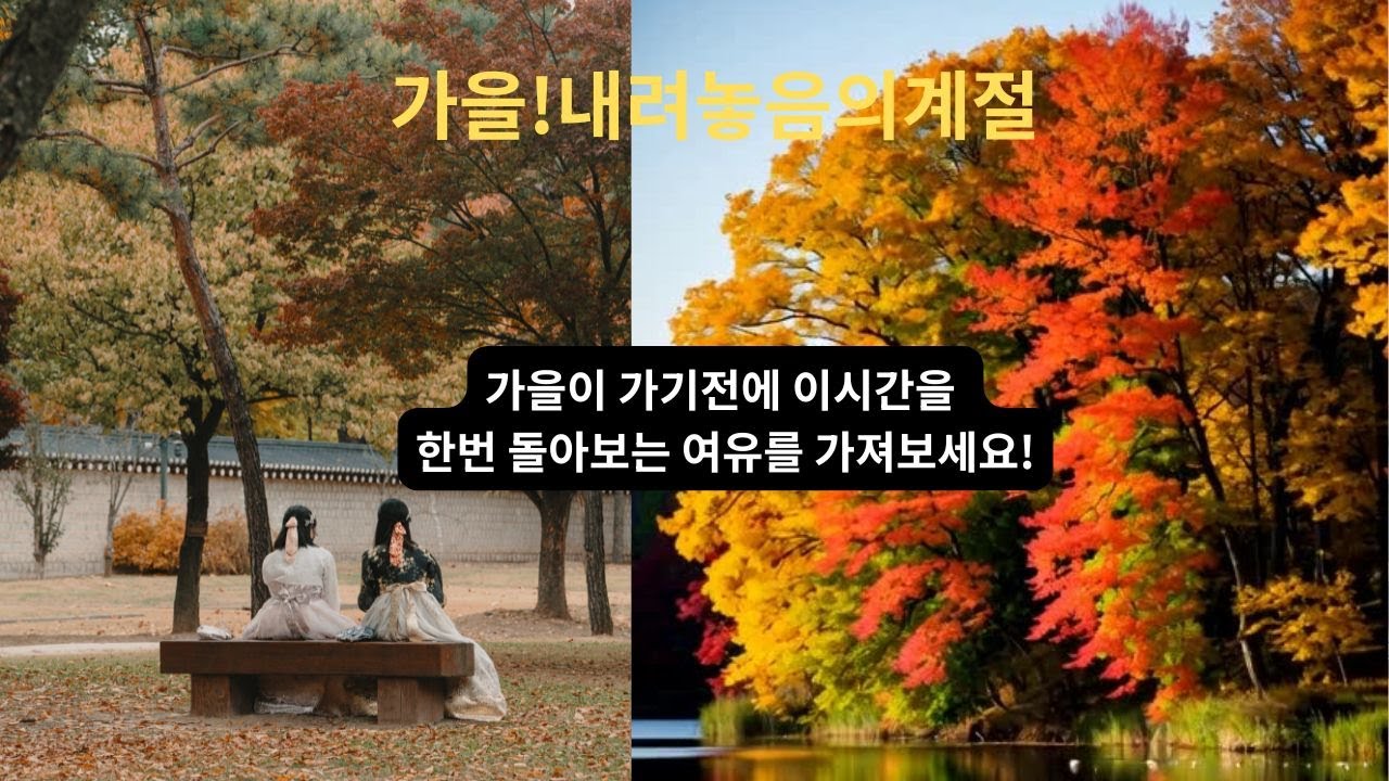 가을, 내려놓음의 계절! 가을이 가기전 지금까지 시간을 돌아보세요. - YouTube