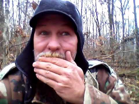 lone wolf personality lone wolf personality