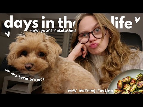 days in the life: 2025 resolutions, fixing my sleep schedule, uni project, game night w/ the cousins