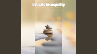 Accompaniment Tranquility