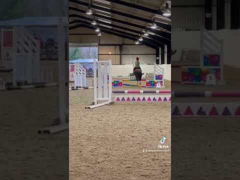 Clear round jumping