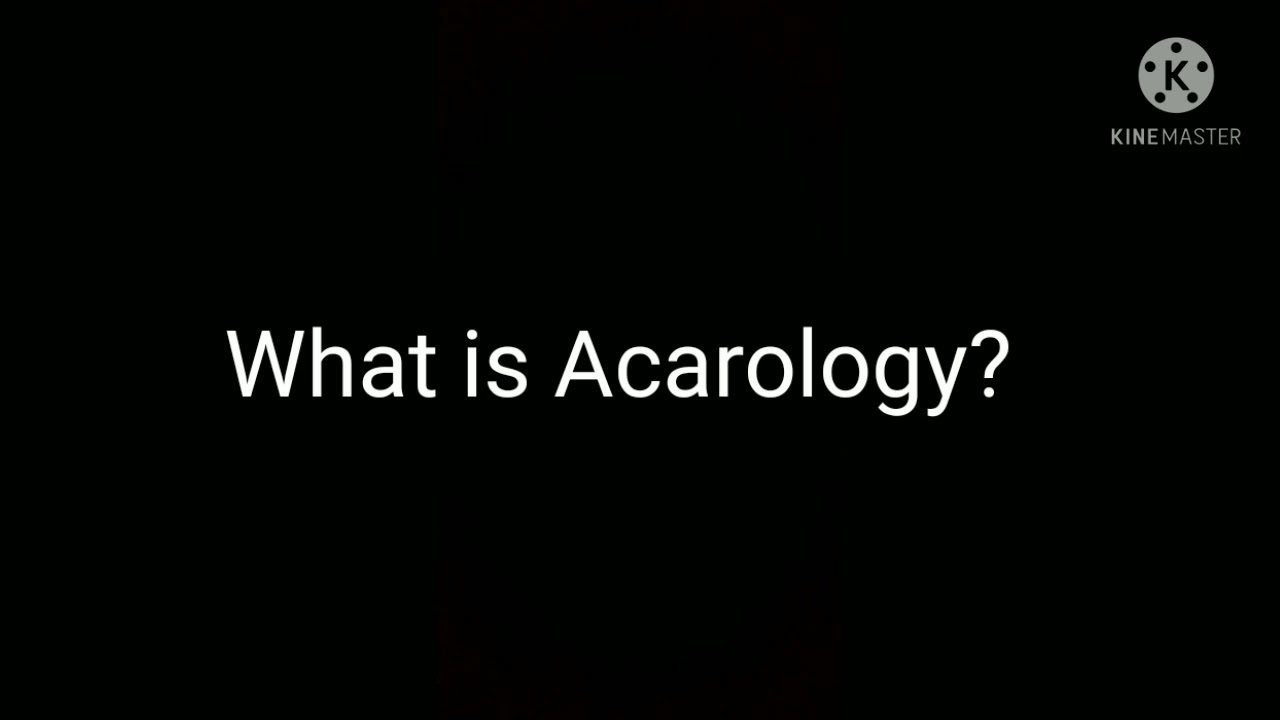 What is Acarology? NEET Biology