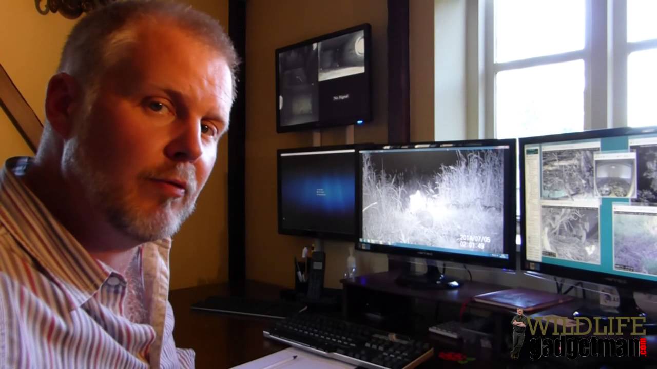 camera iphone 8 plus apk The Great British Garden Watch - Cat Watch Diaries Part 3