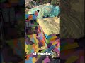 PASTA DE DIENTES DE ELEFANTE ¿Sabias que? #22 #shorts