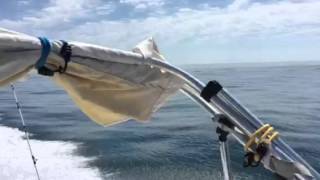 Bayliner trophy 2002 walk around