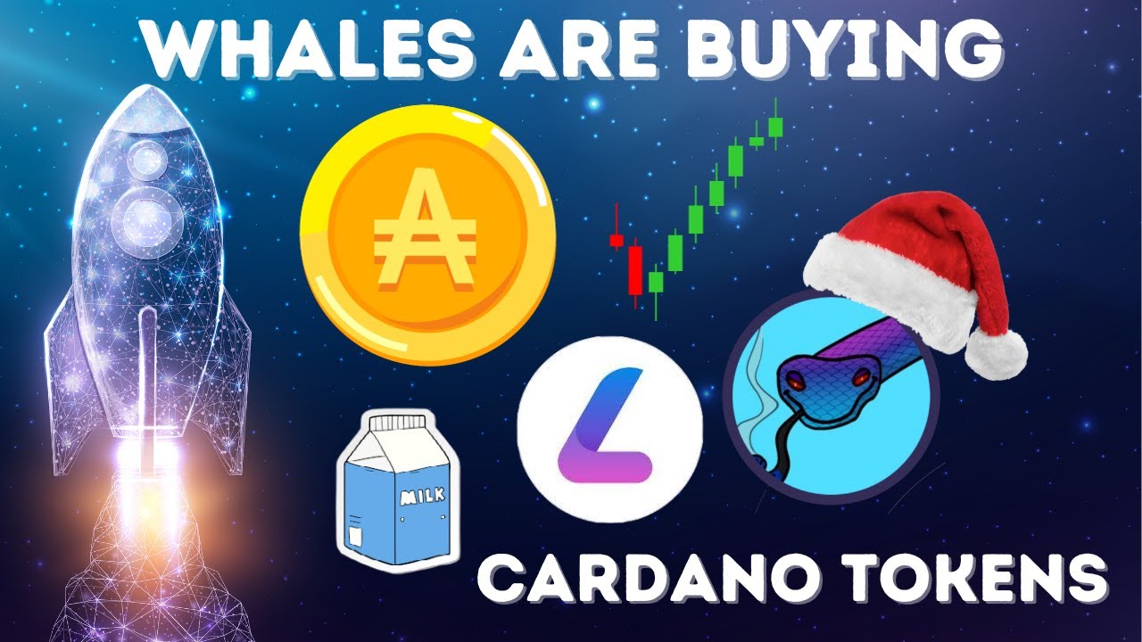 Cardano DEFI is Preparing For Launch!
