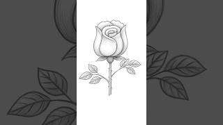 How To Draw Rose Flower From S Letter Flower