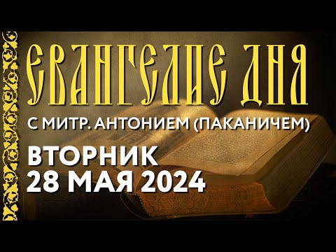 Вторник, 28 Мая 2024 Года. Толкование Евангелия C Митрополитом Антонием .