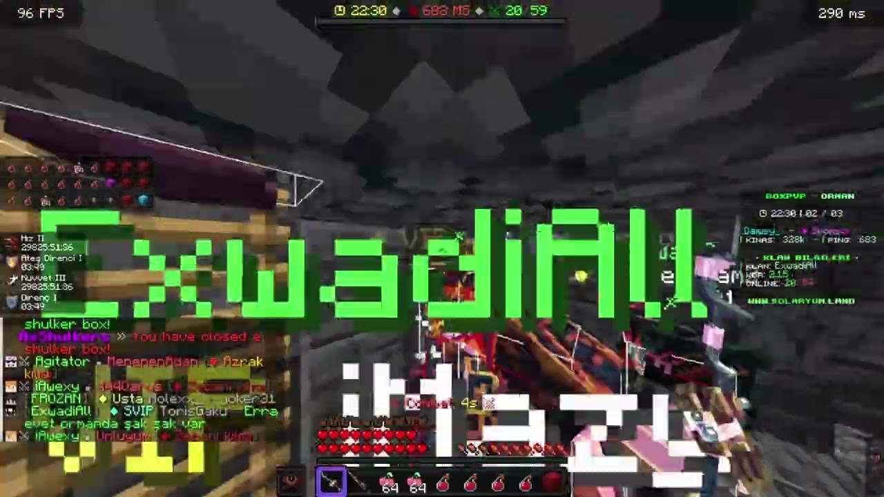 Solaryum Funny Kill Montage