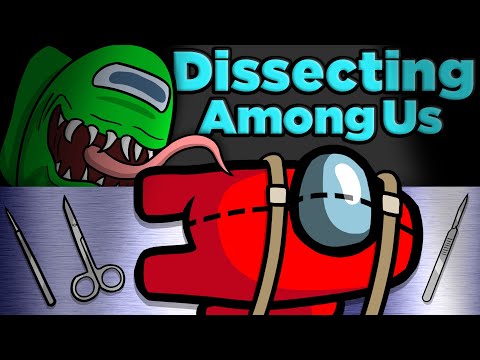 Dissecting the Among Us Crewmate! | The SCIENCE of... Among Us - Dissecting the Among Us Crewmate! | The SCIENCE of... Among Us