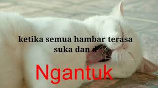 story wa ngantuk