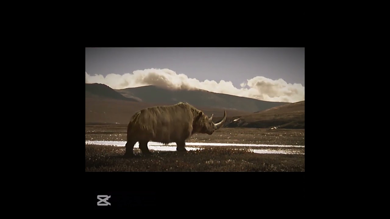 #prehistoric #animals #edits #iceage #mammoth #dodo #woolyrhino #moa #tasmaniantiger