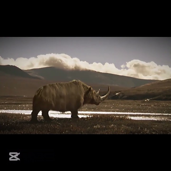 #prehistoric #animals #edits #iceage #mammoth #dodo #woolyrhino #moa #tasmaniantiger