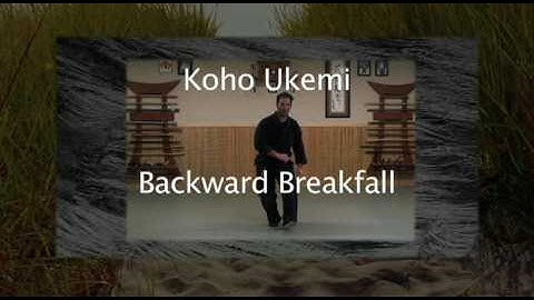 Ninjutsu Training - UKEMI DEMONSTRATION 9TH KYU - Bujinkan Lesson Online