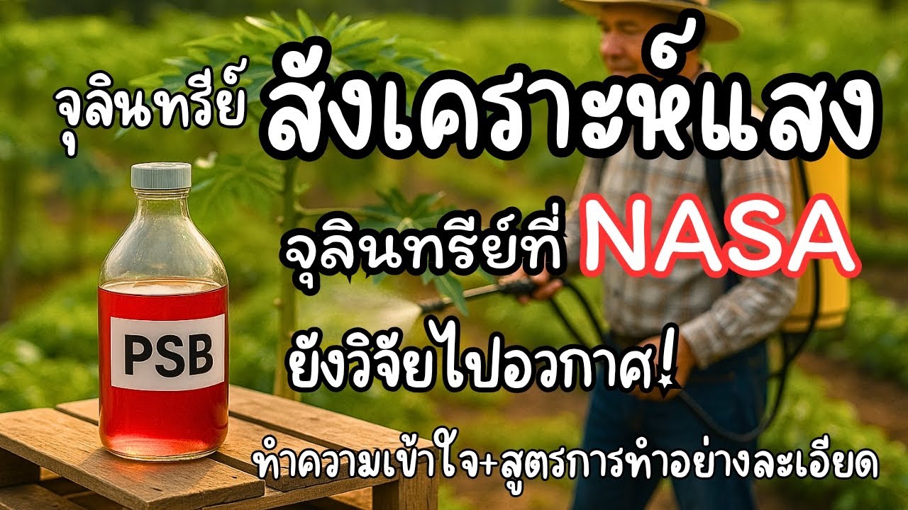 ทำไมต้องรู้จัก จุลินทรีย์สังเคราะห์แสง | PSB จุลินทรีย์ดี เกษตรอินทรีย์  | จุลินทรีย์ดีเกษตร Ep 1 |