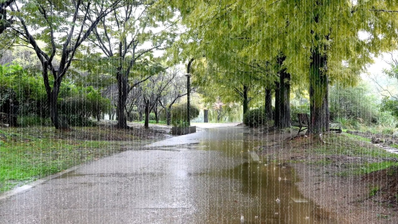 Звуки дождя от Healing Compass, записанные на основе реальных природных звуков.