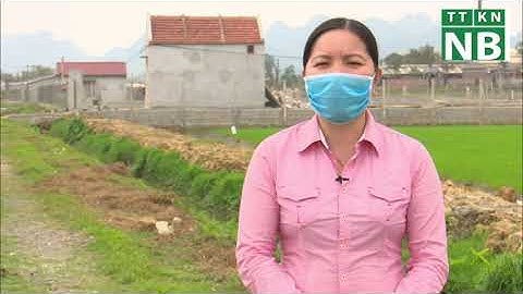 HƯỚNG DẪN KỸ THUẬT CẢI TẠO AO NUÔI TRỒNG THUỶ SẢN NƯỚC NGỌT