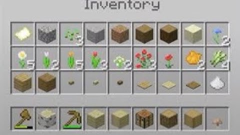[WR] Full Inventory in 1:18 (Random Seed No Structures)