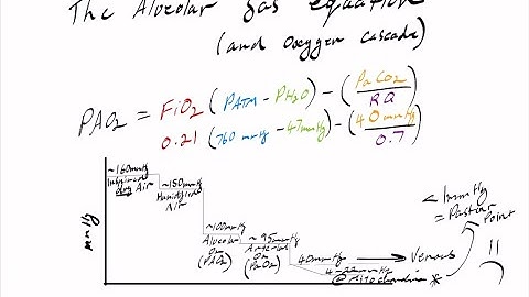 Alveolar gas equation and the oxygen cascade explained simply