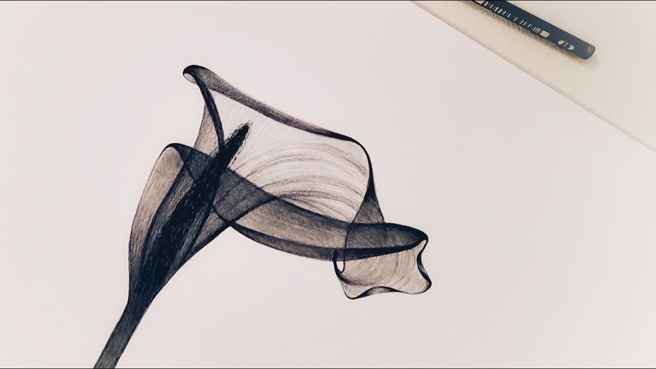 Unlock the Magic: Learn to Sketch Transparent Flowers with Graphite Pencils