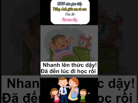 8000 câu Tiếng