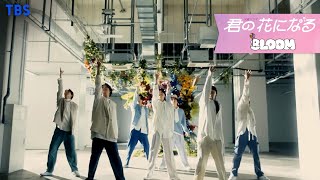 8LOOM ｢君の花になる｣ Dance Ver.【TBS】