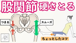 【股関節硬い】股関節の動きをスムーズにするちょっとしたコツ股関節にスペースをあけるとは