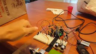 Final Project, ENME 351: Electronics & Instrumentation II