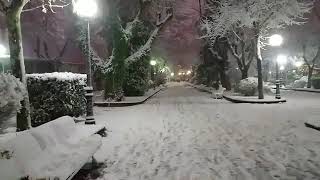 Paseo nocturno por la Dehesa nevada (Soria)