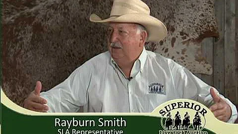Superior Sunrise featuring - Rayburn Smith