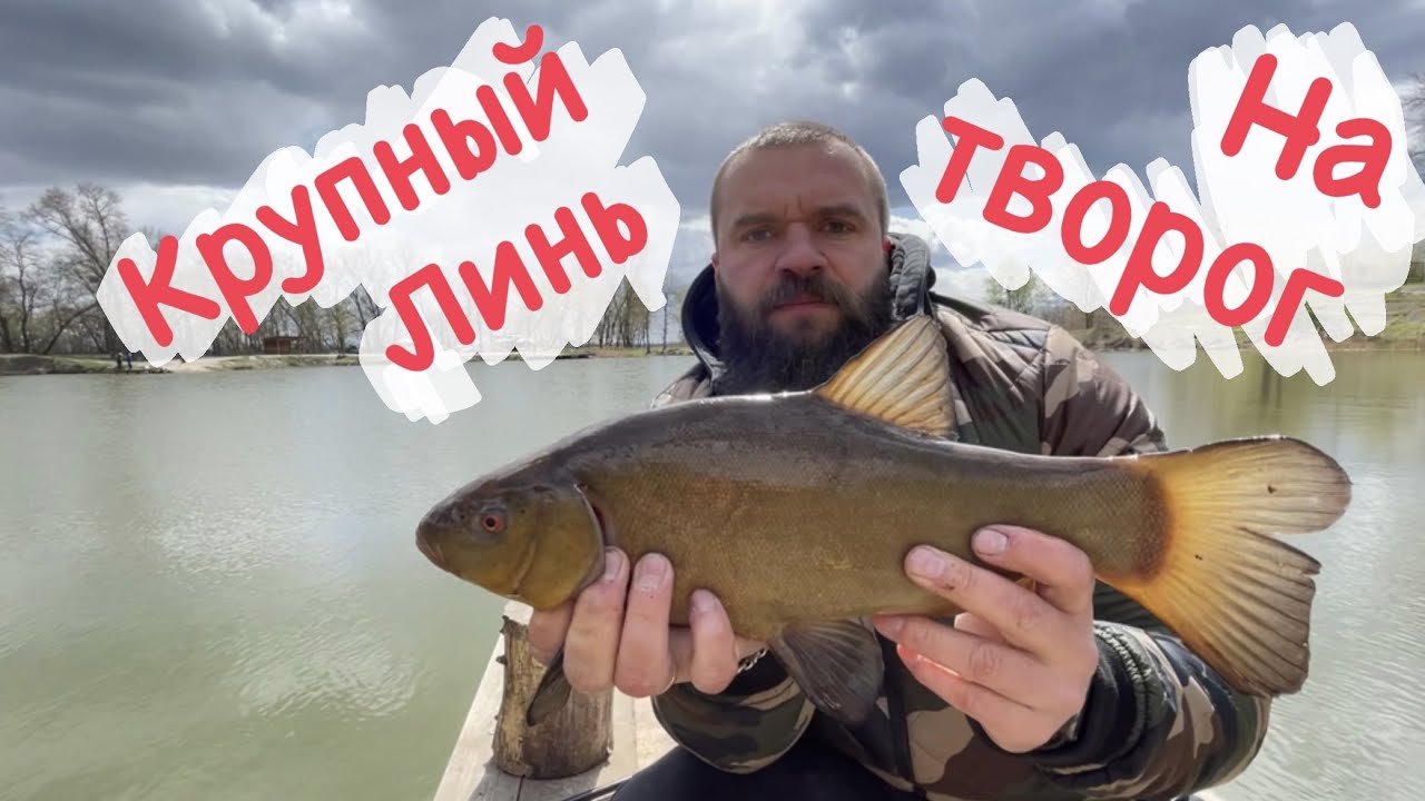 Линь на волге