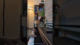 FFVII - Tifa's Theme (Piano cover) #ffvii #pianocover #tifa #finalfantasyvii