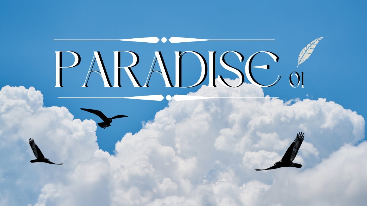 Martin Bravo - PARADISE 01