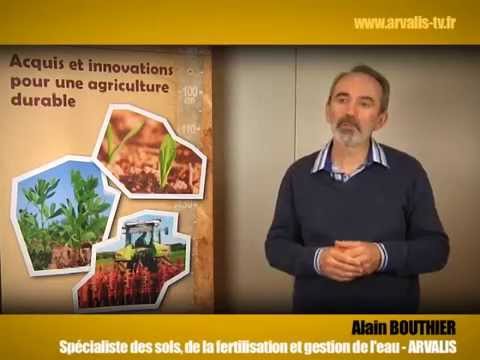 Vidéo: Quels sont les effets du travail du sol ?