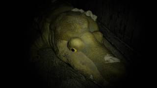 Видео Resident Evil Стараемся держаться молодцом) часть 3 (автор: Дмитрий Харченко)