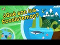 ¿Qué son Los Ecosistemas? (Videos Educativos para Niños)