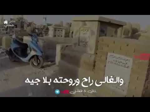 ياطير شماطرت مصيرك هم ترد شوق