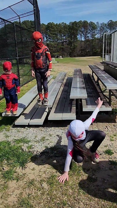 Meet The Spider-Fam