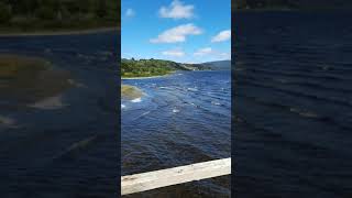 Lago Huillinco- Isla grande de chiloe 😍