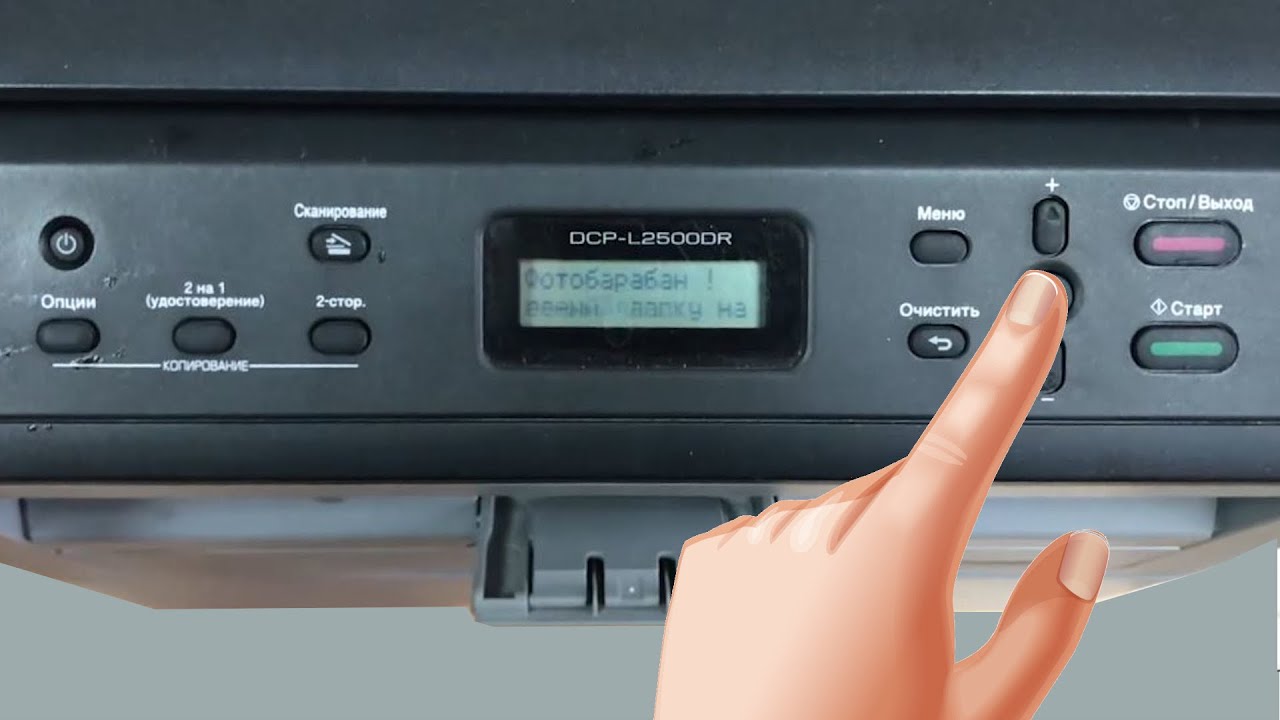 Brother Фотобарабан | Передвиньте зеленый лапку или Подвигайте синий ...