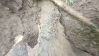 Akar Kayu Buat Paludarium