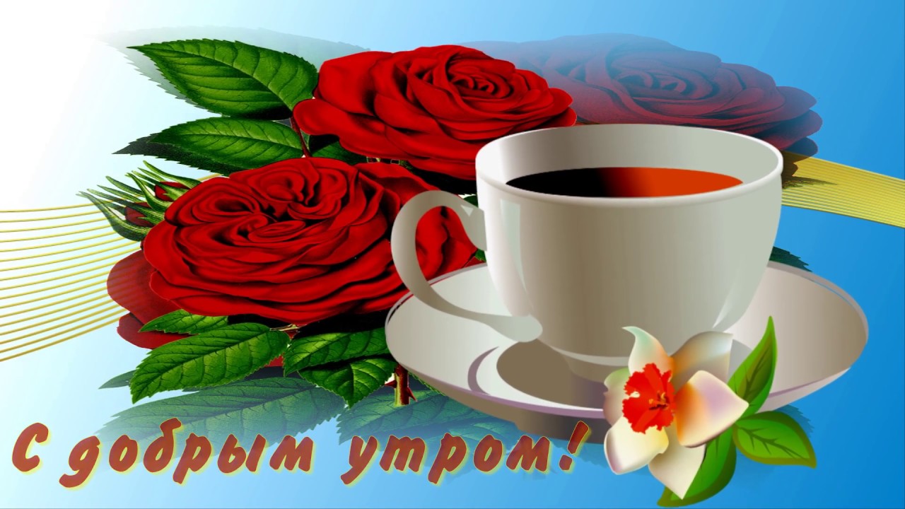С ДОБРЫМ УТРОМ ВСЕХ YouTube