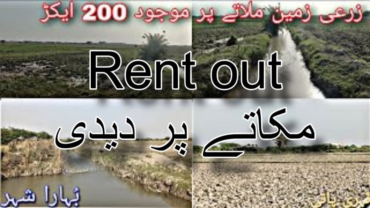 Agriculture land for rent 200 acre buhara city District thatta