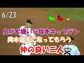 【読売ジャイアンツ】6/23 虫が嫌いな坂本キャプテン、呆れる岡本選手