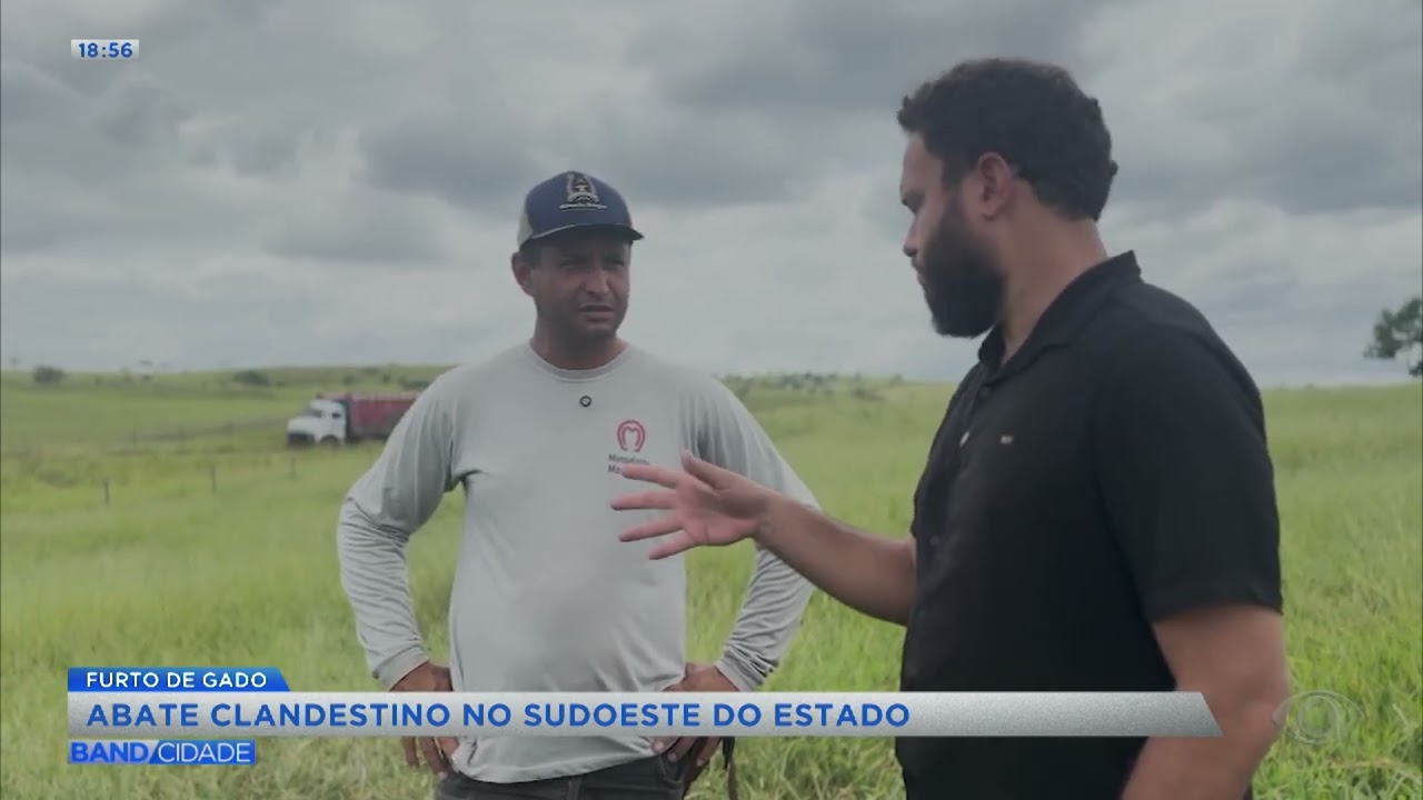 Abate clandestino no sudoeste da Bahia - Band Cidade