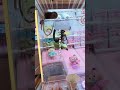 妙にクレーンゲームに自信のある家族のとある日のクレゲ日記。どうしてもウッディが欲しい・・#shorts