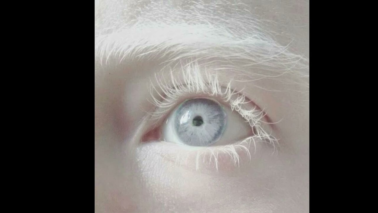 [Free For Profit] Destroy lonely type beat “Pyro”