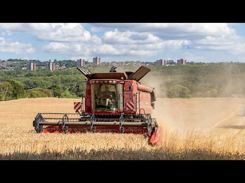 Harvest Time at Kibblesworth