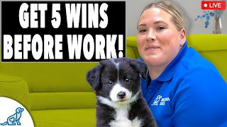 Famous Get 5 Dog Training Wins EVERY DAY Before Work! Profile