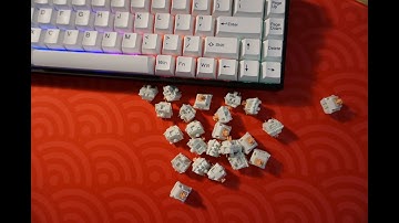 Invyr Holy Panda Typing Test